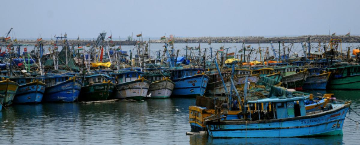 Its business as usual for Tamil Nadu fishermen post 45-day ban